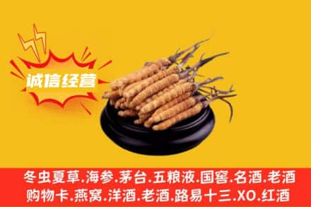 琼海回收冬虫夏草